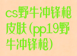 cs野牛冲锋枪皮肤(pp19野牛冲锋枪)