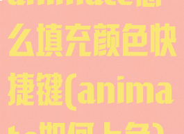 animate怎么填充颜色快捷键(animate如何上色)