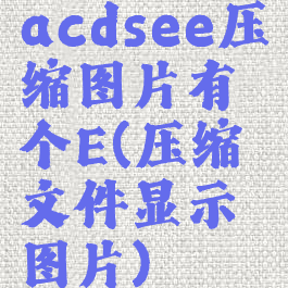 acdsee压缩图片有个E(压缩文件显示图片)