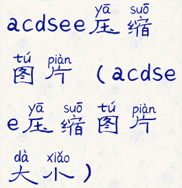 acdsee压缩图片(acdsee压缩图片大小)