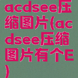acdsee压缩图片(acdsee压缩图片有个E)