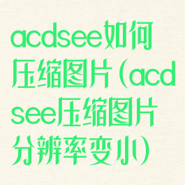 acdsee如何压缩图片(acdsee压缩图片分辨率变小)