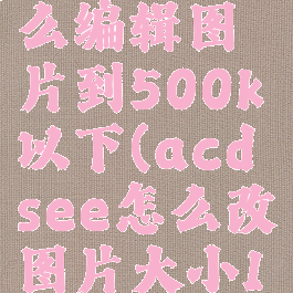 acdsee怎么编辑图片到500k以下(acdsee怎么改图片大小10k以下)