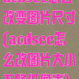 acdsee怎么改变图片尺寸(acdsee怎么改图片大小不降低像素)