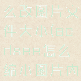 acdsee怎么改图片文件大小(acdsee怎么缩小图片内存)
