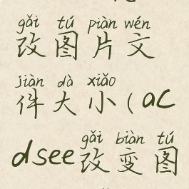 acdsee怎么改图片文件大小(acdsee改变图片大小)