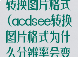 acdsee怎么转换图片格式(acdsee转换图片格式为什么分辨率会变小)