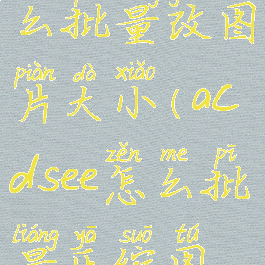 acdsee5.0怎么批量改图片大小(acdsee怎么批量压缩图片大小)