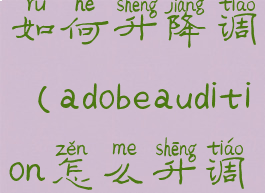 adobeaudition如何升降调(adobeaudition怎么升调)