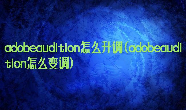 adobeaudition怎么升调(adobeaudition怎么变调)