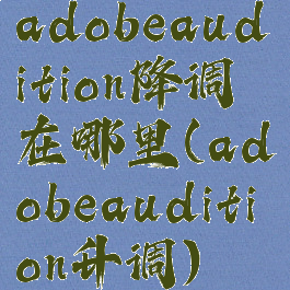 adobeaudition降调在哪里(adobeaudition升调)
