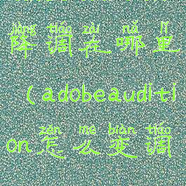 adobeaudition降调在哪里(adobeaudition怎么变调)