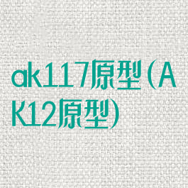 ak117原型(AK12原型)