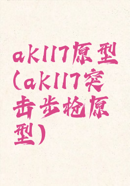 ak117原型(ak117突击步枪原型)