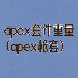 apex套件重量(apex枪套)