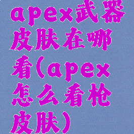 apex武器皮肤在哪看(apex怎么看枪皮肤)