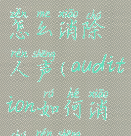 audition1.5怎么消除人声(audition如何消除人声)