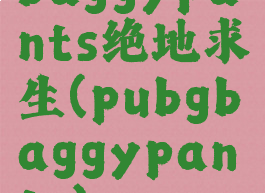 baggypants绝地求生(pubgbaggypants)