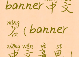banner中文名(banner中文意思)
