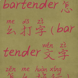 bartender怎么打字(bartender文字怎么换行)