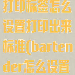 bartender打印标签怎么设置打印出来标准(bartender怎么设置标签大小)