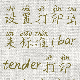 bartender打印标签怎么设置打印出来标准(bartender打印标签位置调整)