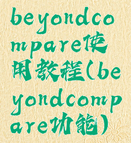 beyondcompare使用教程(beyondcompare功能)
