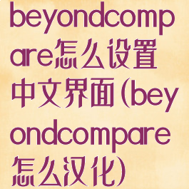 beyondcompare怎么设置中文界面(beyondcompare怎么汉化)