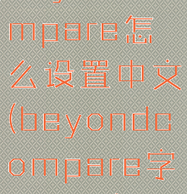 beyondcompare怎么设置中文(beyondcompare字体设置)