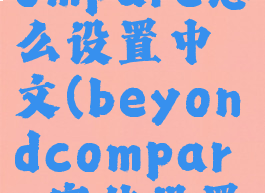 beyondcompare怎么设置中文(beyondcompare字体设置)