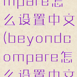 beyondcompare怎么设置中文(beyondcompare怎么设置中文界面)