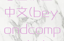 beyondcompare怎么设置中文(beyondcompare怎么设置中文界面)