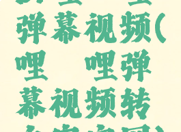 bi哩哔哩弹幕视频(哔哩哔哩弹幕视频转文字官网)