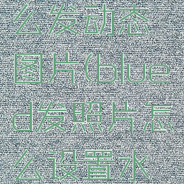 blued怎么发动态图片(blued发照片怎么设置水印)