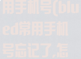 blued重设常用手机号(blued常用手机号忘记了,怎么更改)