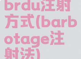 brdu注射方式(barbotage注射法)