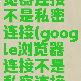 google浏览器连接不是私密连接(google浏览器连接不是私密连接怎么回事)