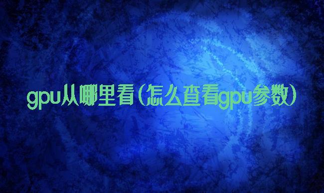 gpu从哪里看(怎么查看gpu参数)