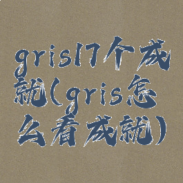 gris17个成就(gris怎么看成就)