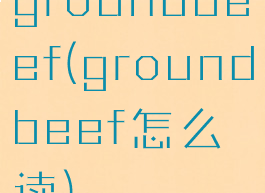 groundbeef(groundbeef怎么读)
