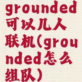 grounded可以几人联机(grounded怎么组队)