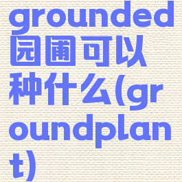 grounded园圃可以种什么(groundplant)