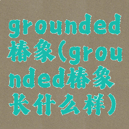 grounded椿象(grounded椿象长什么样)
