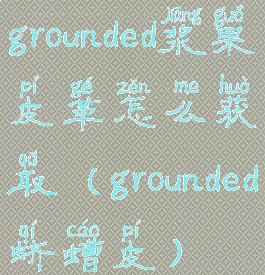 grounded浆果皮革怎么获取(grounded蛴螬皮)