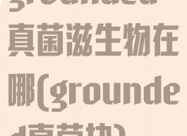 grounded真菌滋生物在哪(grounded真菌块)