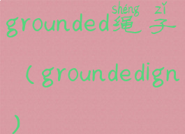 grounded绳子(groundedign)