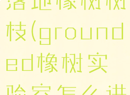 grounded落地橡树树枝(grounded橡树实验室怎么进)