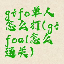 gtfo单人怎么打(gtfoa1怎么通关)