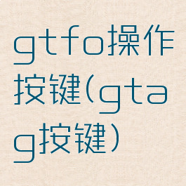 gtfo操作按键(gtag按键)