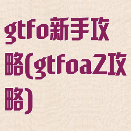 gtfo新手攻略(gtfoa2攻略)